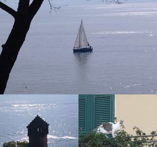 Paesaggio, comunità, relazioni sane: per una “felicità” ancora possibile. Di Larolla