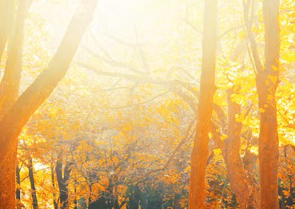 E' ottobre... ricominciamo a muoverci! di Larolla